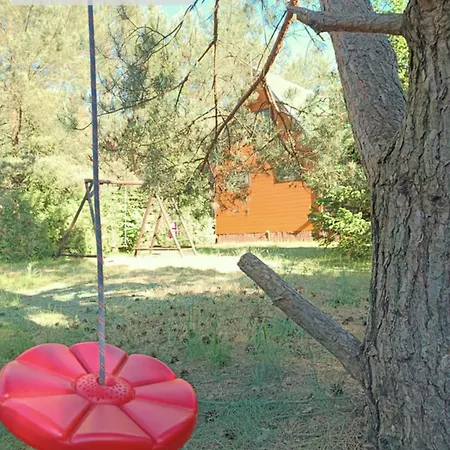 W Puszczy ,,kocanka * Mezyk