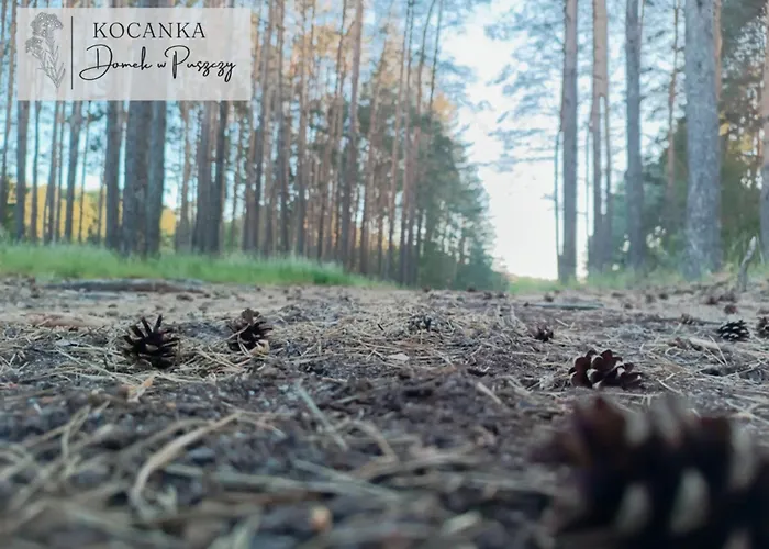 Domek alpejski W Puszczy ,,kocanka *