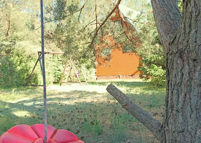 W Puszczy ,,kocanka * Mezyk